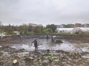 芦溪河道鱼塘清淤